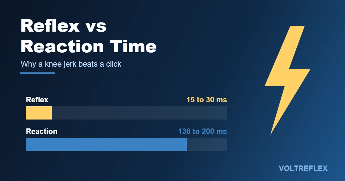 Reflex vs reaction time